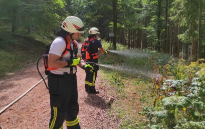 Waldbrandzug – neue Einsatzkräfte geschult-